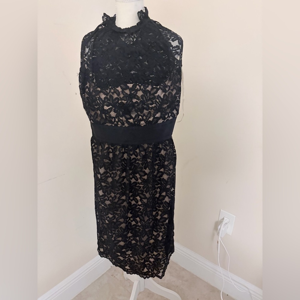 Banana Republic Black Lace Midi Dress with High Neck